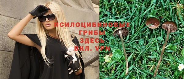 дживик Балабаново